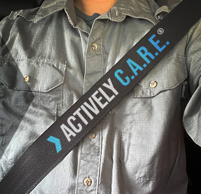 DriveSafe-month_25-SM-Post